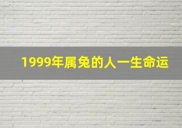 1999年属兔的人一生命运