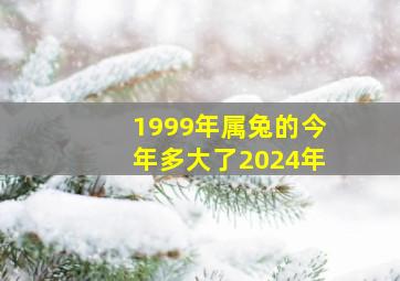 1999年属兔的今年多大了2024年