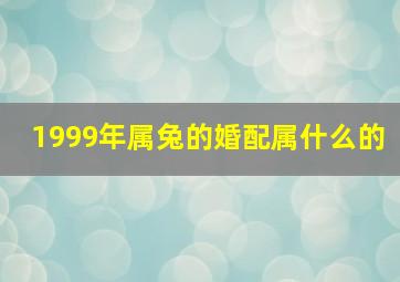 1999年属兔的婚配属什么的