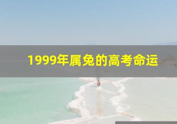 1999年属兔的高考命运