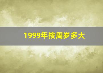 1999年按周岁多大