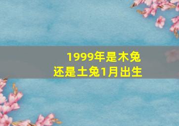 1999年是木兔还是土兔1月出生