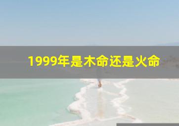 1999年是木命还是火命