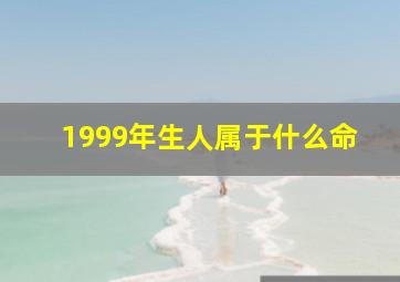 1999年生人属于什么命