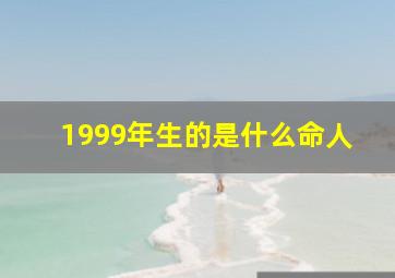 1999年生的是什么命人