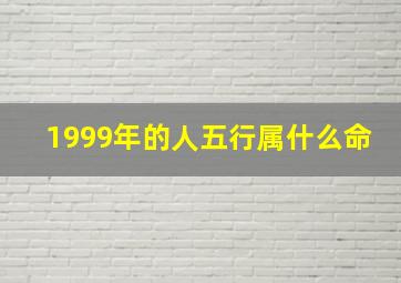 1999年的人五行属什么命