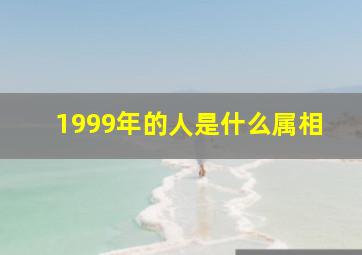 1999年的人是什么属相