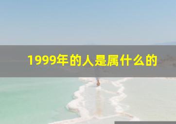 1999年的人是属什么的