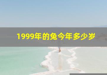 1999年的兔今年多少岁