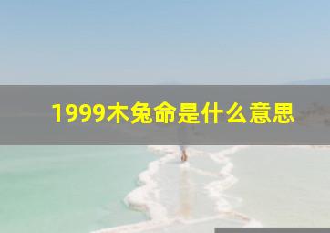 1999木兔命是什么意思