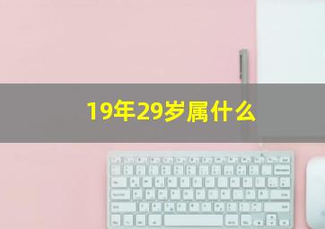 19年29岁属什么