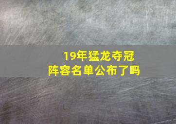 19年猛龙夺冠阵容名单公布了吗