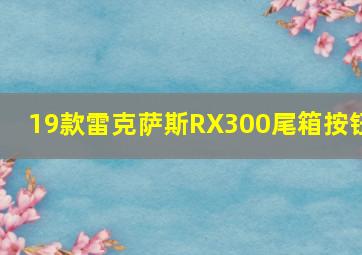 19款雷克萨斯RX300尾箱按钮