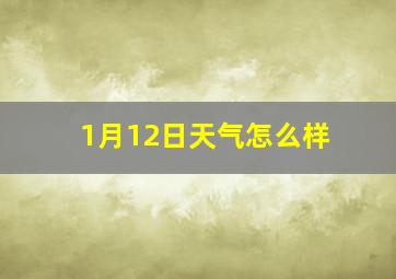 1月12日天气怎么样