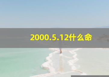 2000.5.12什么命