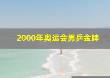 2000年奥运会男乒金牌