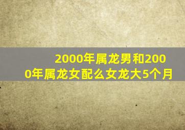 2000年属龙男和2000年属龙女配么女龙大5个月