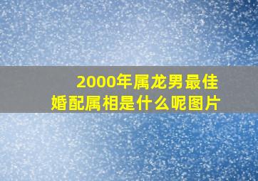 2000年属龙男最佳婚配属相是什么呢图片