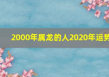 2000年属龙的人2020年运势