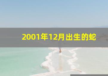 2001年12月出生的蛇