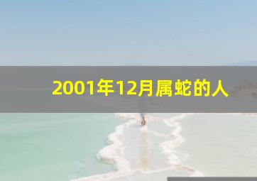 2001年12月属蛇的人