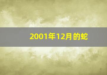 2001年12月的蛇