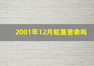 2001年12月蛇是苦命吗