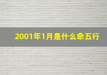 2001年1月是什么命五行