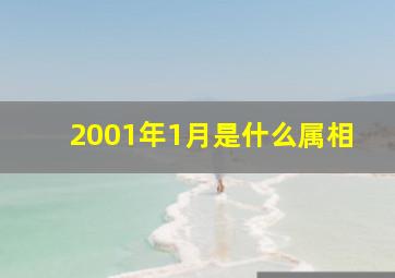 2001年1月是什么属相