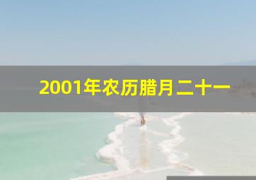 2001年农历腊月二十一