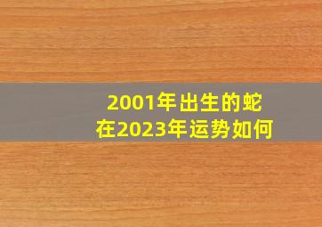 2001年出生的蛇在2023年运势如何