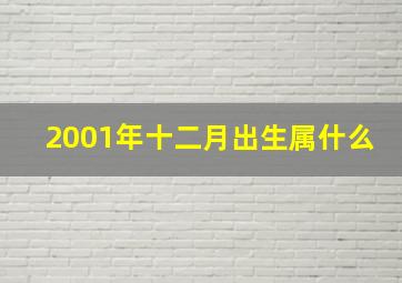 2001年十二月出生属什么