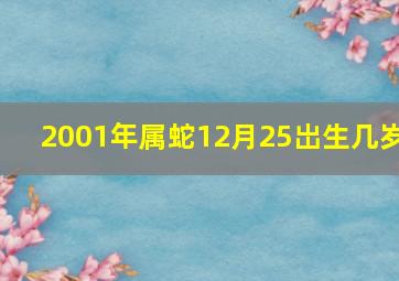 2001年属蛇12月25岀生几岁