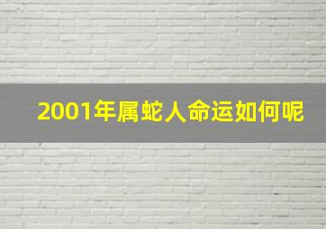 2001年属蛇人命运如何呢