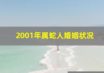 2001年属蛇人婚姻状况