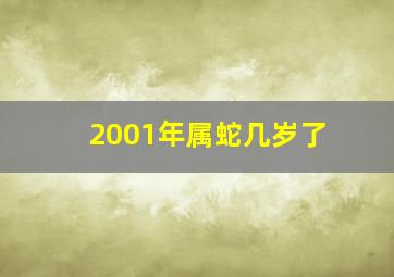 2001年属蛇几岁了