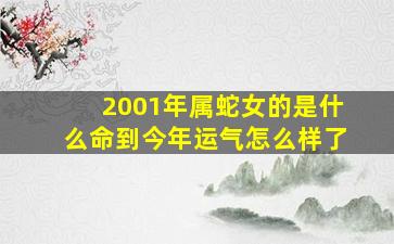 2001年属蛇女的是什么命到今年运气怎么样了