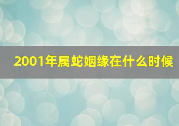 2001年属蛇姻缘在什么时候