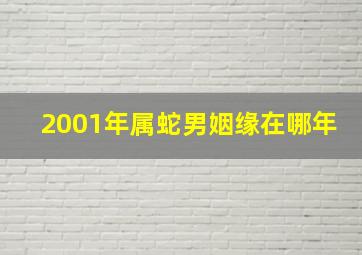 2001年属蛇男姻缘在哪年