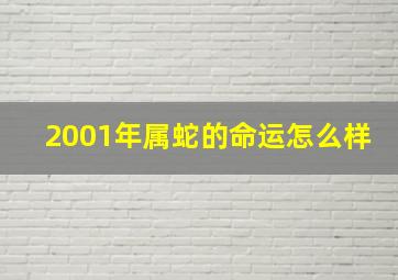 2001年属蛇的命运怎么样