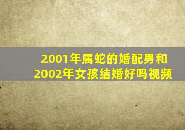 2001年属蛇的婚配男和2002年女孩结婚好吗视频