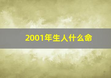 2001年生人什么命