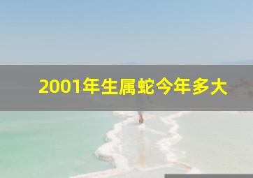 2001年生属蛇今年多大