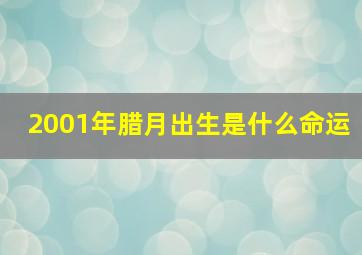 2001年腊月出生是什么命运