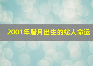 2001年腊月出生的蛇人命运