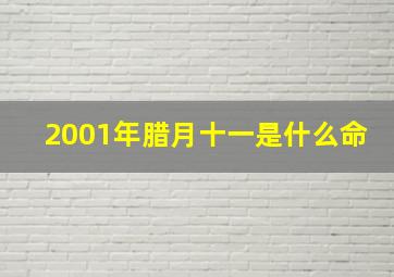 2001年腊月十一是什么命