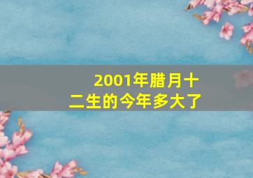 2001年腊月十二生的今年多大了