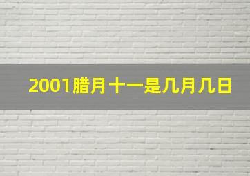 2001腊月十一是几月几日