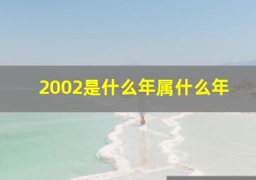 2002是什么年属什么年