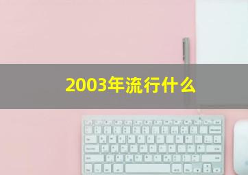 2003年流行什么